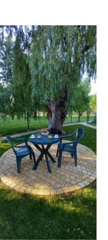 Logement Lumineux, Entierement Renove Avec Jardin Caumont-sur-Durance المظهر الخارجي الصورة